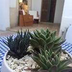 펜션 Nel Salento - Casa Maria E Casa Glory *