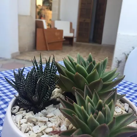 Semesterbostad Nel Salento - Casa Maria E Casa Glory *