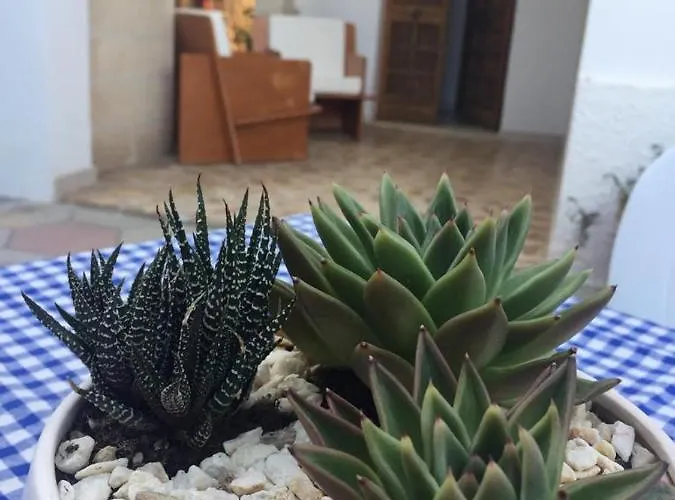 Casa vacanze Nel Salento - Casa Maria E Casa Glory *